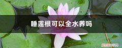 带根睡莲全水养种植方法 睡莲根可以全水养吗