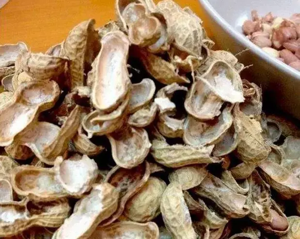 为什么不能捡外面的东西，出门捡点东西，锅里煮一煮，养花“垫盆底”，根粗叶绿开花特勤