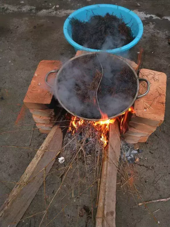 为什么不能捡外面的东西，出门捡点东西，锅里煮一煮，养花“垫盆底”，根粗叶绿开花特勤