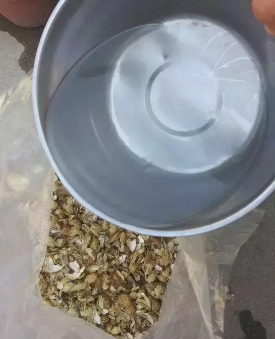 为什么不能捡外面的东西，出门捡点东西，锅里煮一煮，养花“垫盆底”，根粗叶绿开花特勤