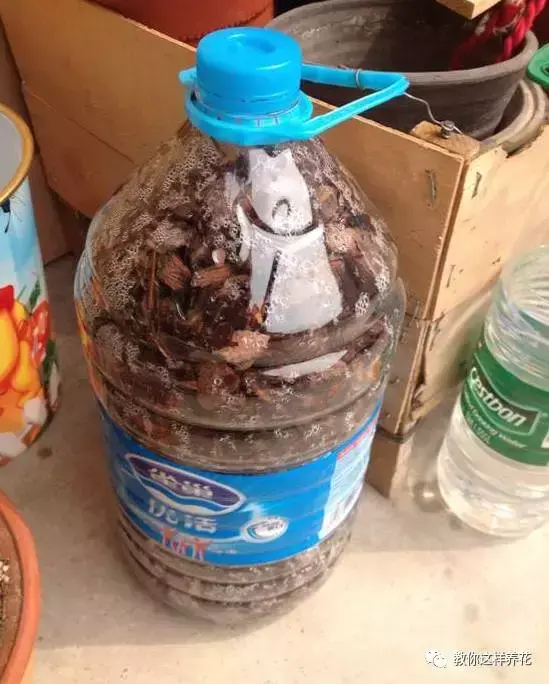 为什么不能捡外面的东西，出门捡点东西，锅里煮一煮，养花“垫盆底”，根粗叶绿开花特勤