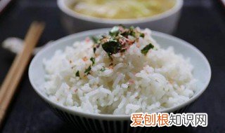 减肥主食到底吃不吃肉 减肥主食到底吃不吃