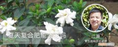 复合化肥可以浇花吗 夏天复合肥能浇花吗