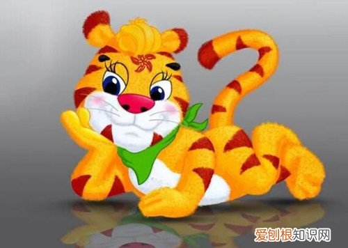 为何属虎的不怕本命年，属虎的本命年好吗?