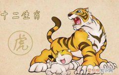 为何属虎的不怕本命年，属虎的本命年好吗?