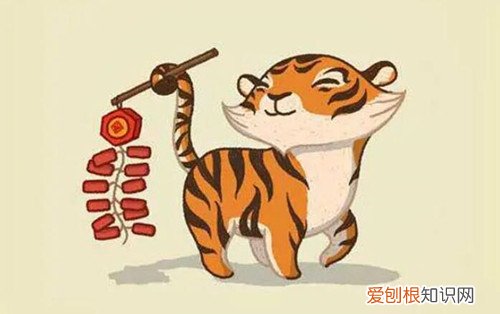 为何属虎的不怕本命年，属虎的本命年好吗?