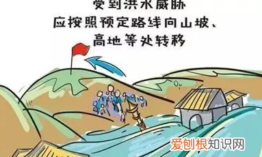 发生水灾的自救及救助方法，洪水来临落入水中如何自救视频