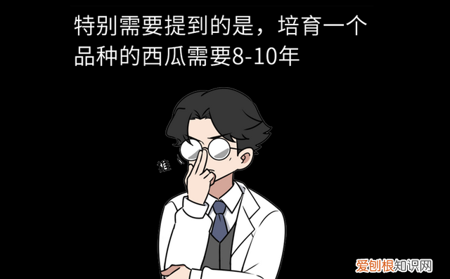 现在的西瓜是不是都打了激素