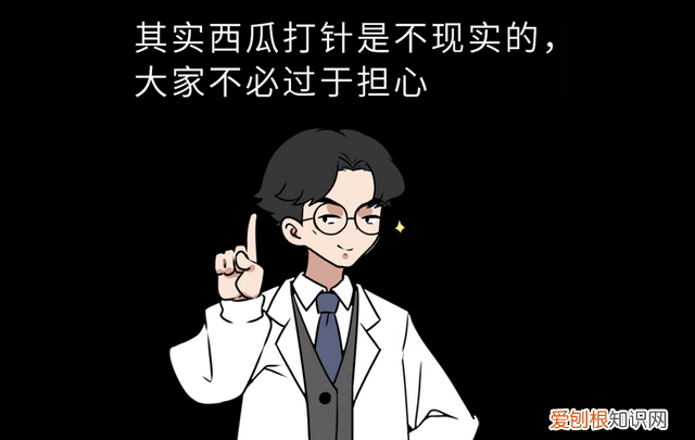 现在的西瓜是不是都打了激素