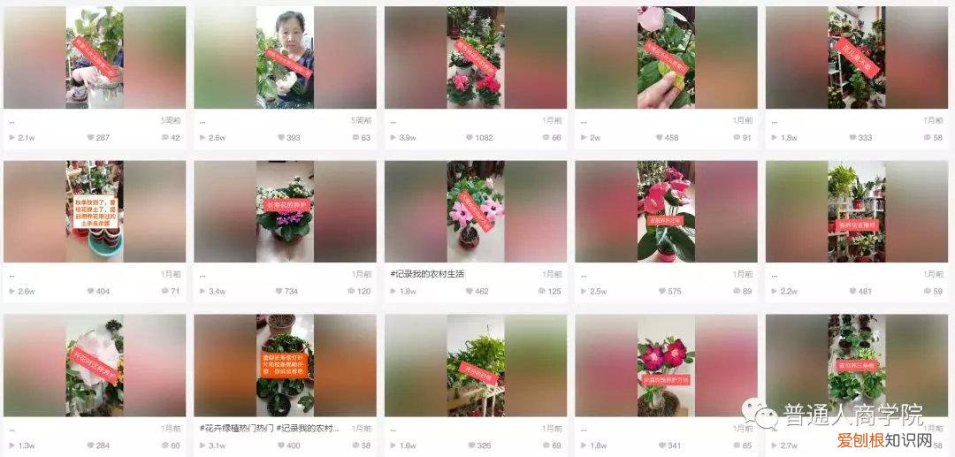 快手挣钱技巧，快手幸福大姐新手养花教学赚钱套路