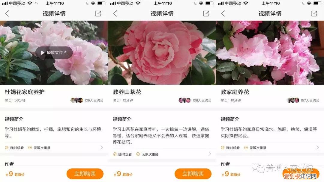 快手挣钱技巧，快手幸福大姐新手养花教学赚钱套路