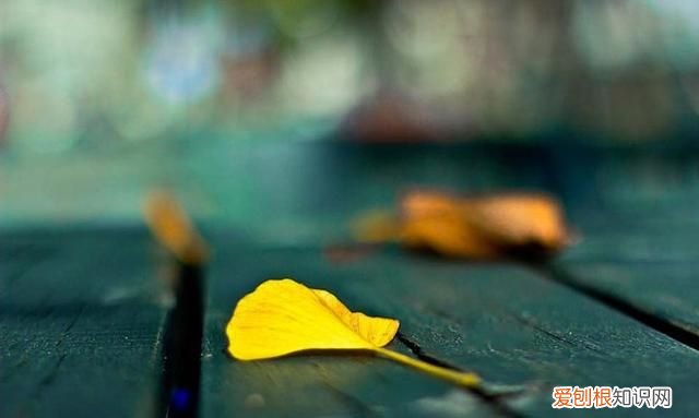 20条唯美英文语录句句都是经典 30句触动心灵的英文短句