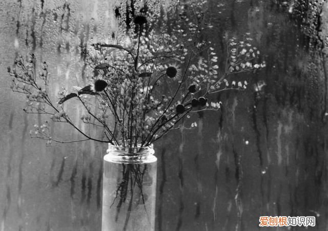 20条唯美英文语录句句都是经典 30句触动心灵的英文短句