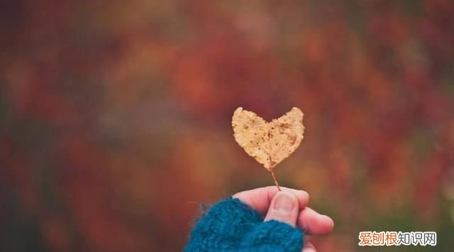 20条唯美英文语录句句都是经典 30句触动心灵的英文短句