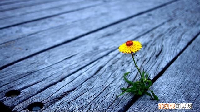 20条唯美英文语录句句都是经典 30句触动心灵的英文短句