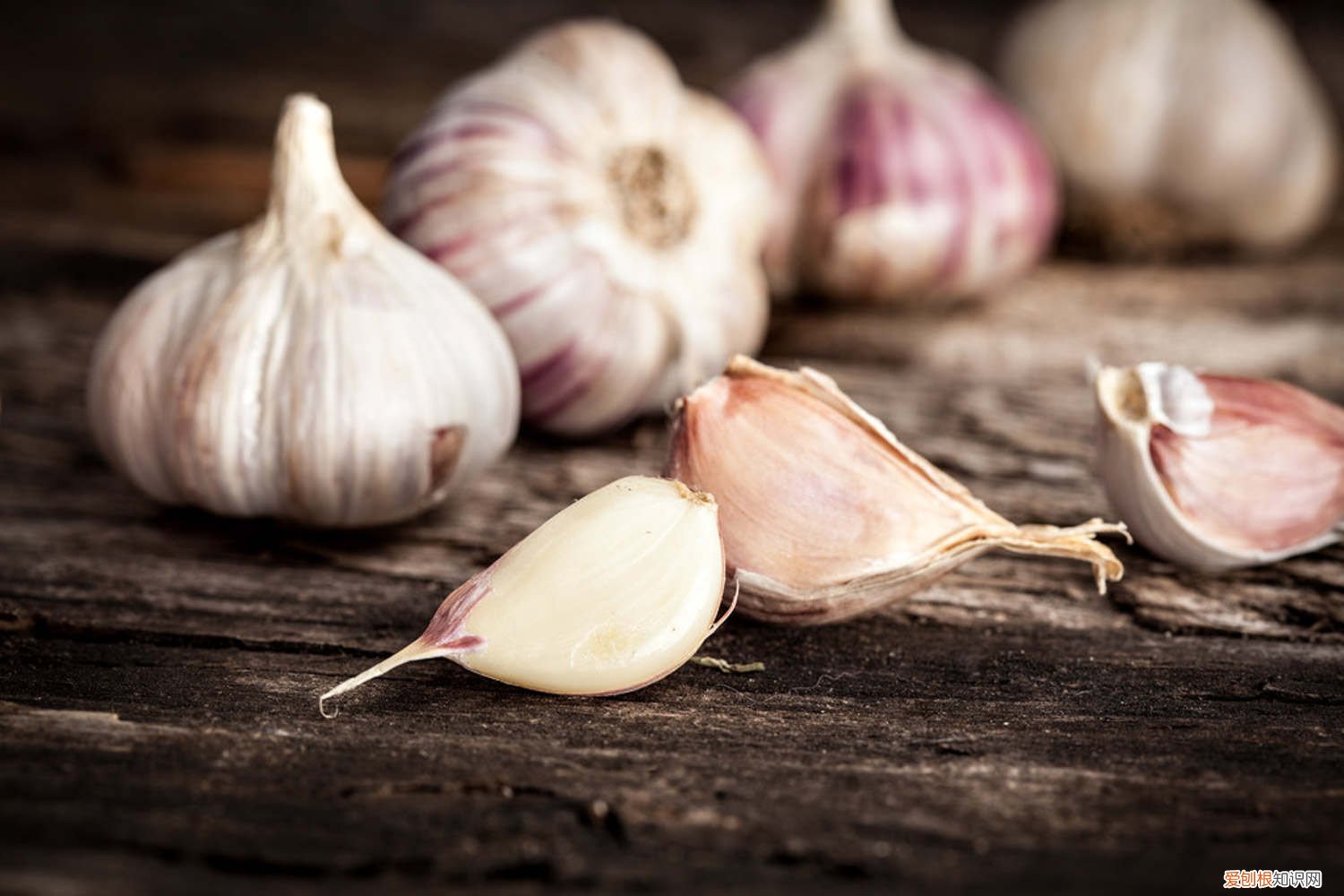 怎么在水里种大蒜呢 怎么在水里种大蒜