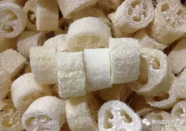 养花烂根了土怎么处理，张大爷养花用土法子，排水快，不烂根，根粗叶肥爆满盆