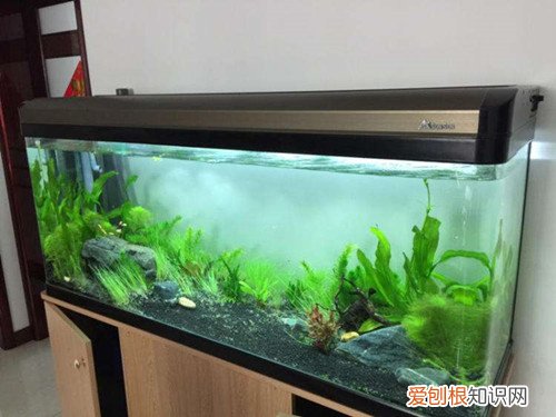 玻璃鱼缸制作方法有哪些，玻璃鱼缸制作方法有哪些图片