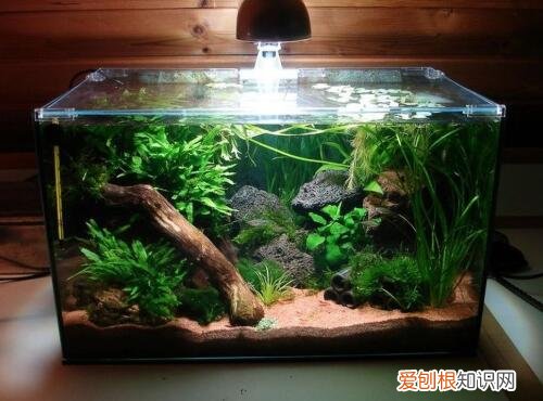 玻璃鱼缸制作方法有哪些，玻璃鱼缸制作方法有哪些图片