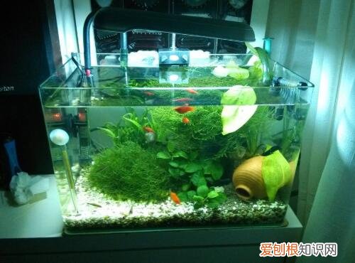 玻璃鱼缸制作方法有哪些，玻璃鱼缸制作方法有哪些图片