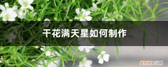 干花满天星制作方法 干花满天星如何制作，能保持多久