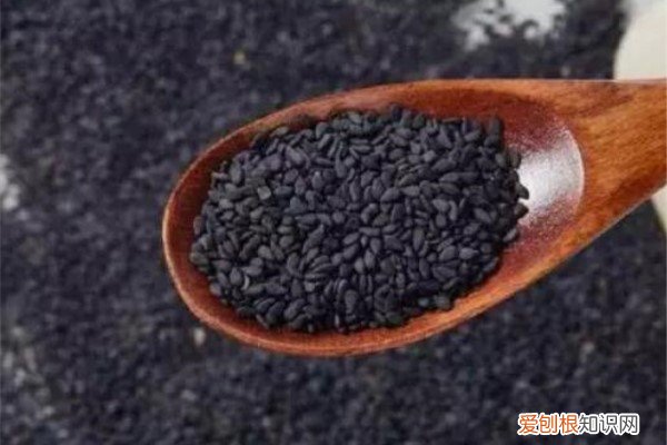 盆里撒把粉面儿，花吃了蹭蹭长，比10瓶营养液还厉害！