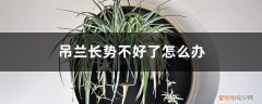吊兰叶子徒长 “吊兰”长不好，土里最好藏点“料”，叶子蹿芽蹿不停！