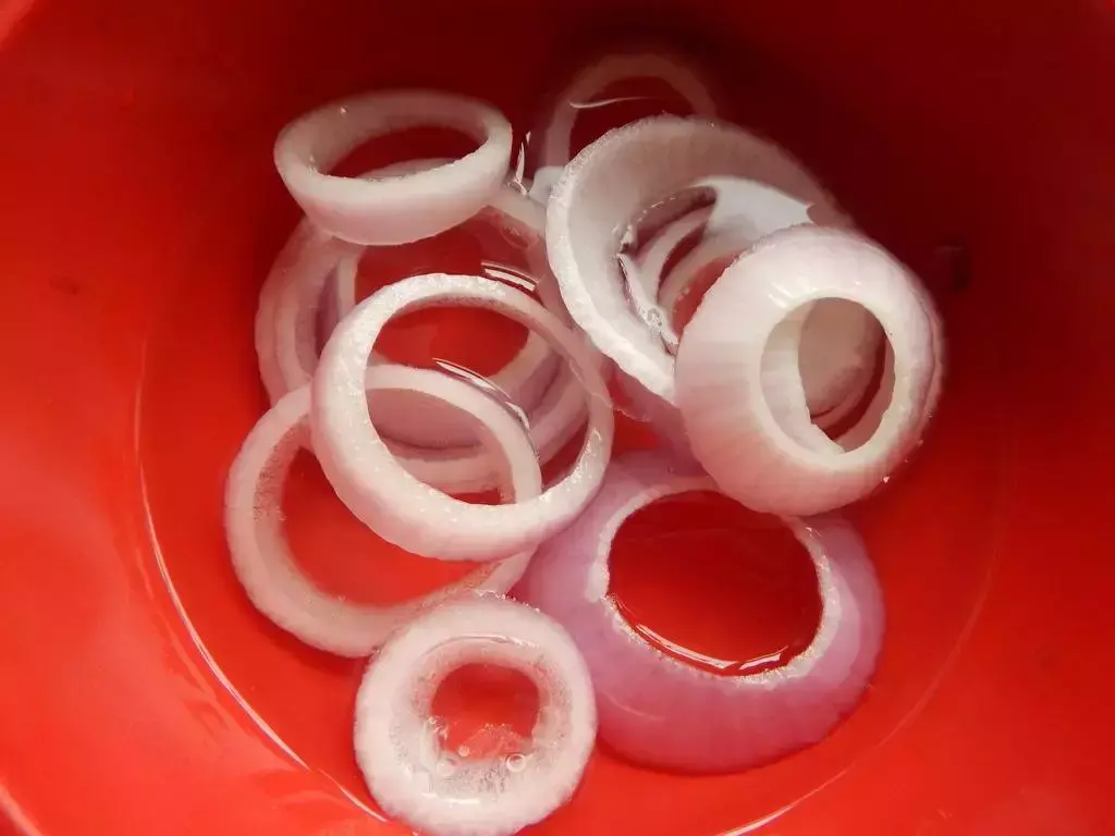 西红柿洋葱能一起吃吗?，西红柿洋葱胡萝卜，切碎加水倒盆里，叶子绿油油，花开娇滴滴