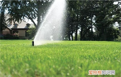 喷头布置间距口诀是什么，绿化喷头布置间距口诀