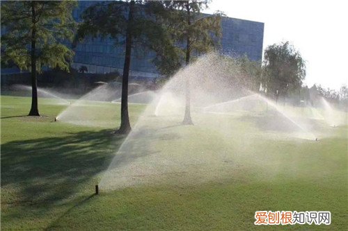 喷头布置间距口诀是什么，绿化喷头布置间距口诀