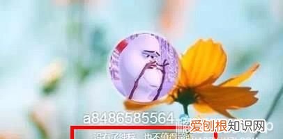 陈学冬罗志祥冲浪,陈学冬罗志祥直播