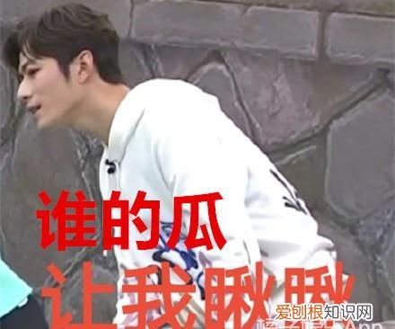 陈学冬罗志祥冲浪,陈学冬罗志祥直播