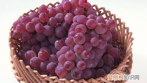 来姨妈可以吃葡萄嘛，孕妇可以吃青葡萄含糖量高不高