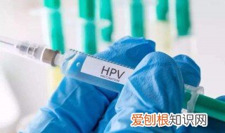 hpv核酸检测阴阳性 hpv核酸检测阴性什么意思