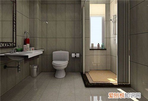 不要买虹吸式马桶的原因是什么