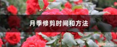 月季的修剪时间和方法 季节和地域 月季修剪时间和方法