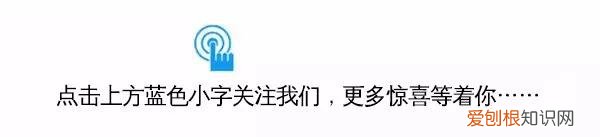 关于小区养宠物的通知，今年我市又将有两部地方性法规出台！养宠物的注意啦！