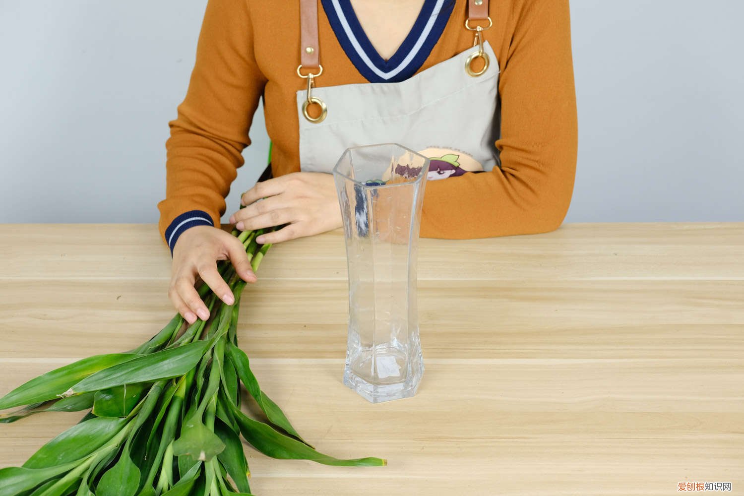 盆栽富贵竹怎么水养才旺盛 富贵竹怎么水养才开花，怎么样才能更旺盛