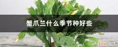 蟹爪兰什么季节栽最好 蟹爪兰什么季节种好些