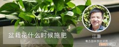 刚栽的花什么时候施肥 盆栽花什么时候施肥