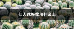 给“仙人球”换盆，用上这个小技巧，能养10年还开花！