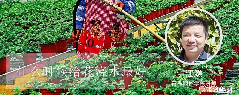 什么时候给花浇水最好养 什么时候给花浇水最好