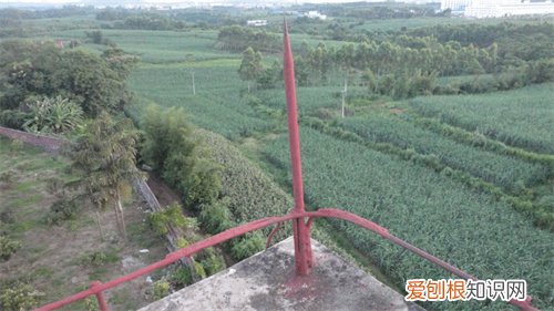 三层自建房要避雷针吗？，三层楼需要安装避雷针吗
