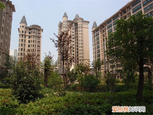 32层楼为什么10层最难出售，房子总高32层买20层好不好