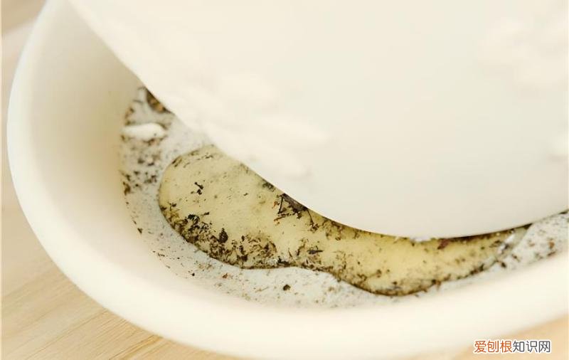 家庭养护盆栽植物是否需要浇透水?,养花浇水要浇透吗