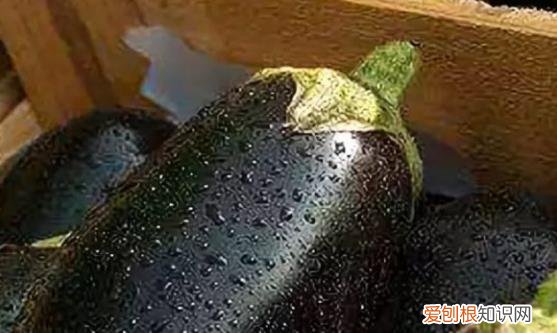 推荐治疗关节炎的12个偏方 治疗关节炎有效果