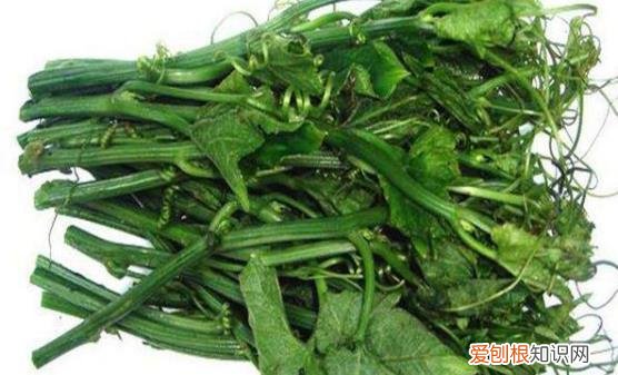 小偏方治疗经常性头痛 以缓解头痛的不适