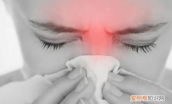 过敏性鼻炎容易反复 缓解鼻炎症状的10种小偏方