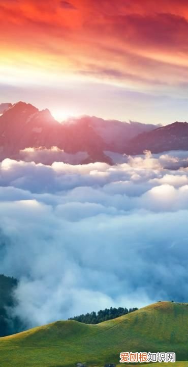 word文档转pdf怎么转，word文档怎么转换成pdf格式