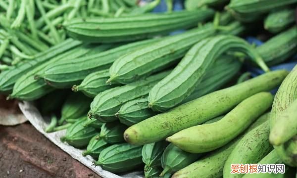 夏天吃什么瓜对血管好